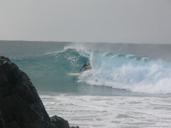 Two Weeks on the East Coast of Oz